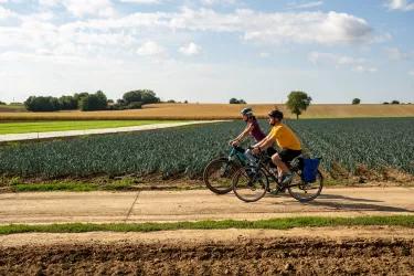 Radfahren entlang der Gemüsefelder