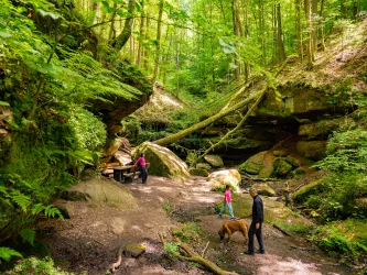 Erlebnis Hexenklamm in Pirmasens