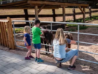 Streichelzoo im Wild- und Wanderpark in Silz