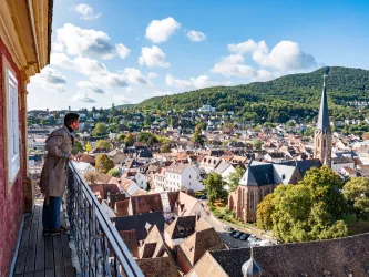 Ausblick von der Stiftskirche in Neustadt an der Weinstraße