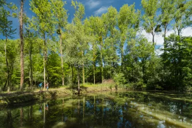 Wanderer entlang des Altrheins am Treidlerweg bei Hördt