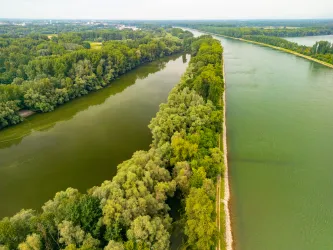 Der Altrhein ruht neben dem fließenden Rhein