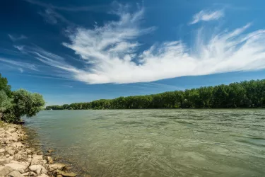 Am Rhein in der Pfalz auf dem Treidlerweg