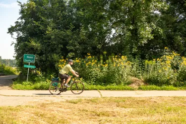 Der Queichtalradweg führt mitten durch die Queichwiesen