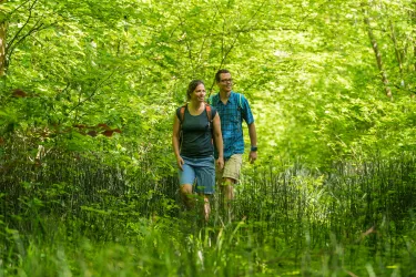 Wanderer durch die Altrheinauen bei Hördt