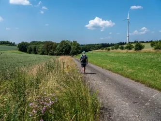 Wanderer durch bewaldetes Tal auf der Sickinger Höhe