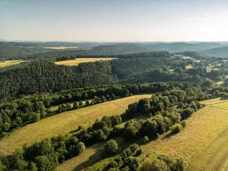 Blick über die bewaldete Sickinger Höhe am Holzlandweg bei Geiselberg