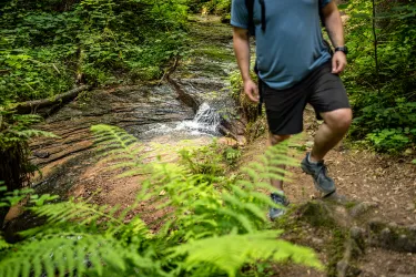 Natur pur im Kessel auf dem Wasserschaupfad Herschberg 