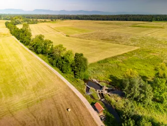 Blick über die Queichwiesen mit Weinland und Pfälzerwald im Hintergrund
