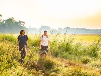 Magischer Sommermorgen in den Queichwiesen