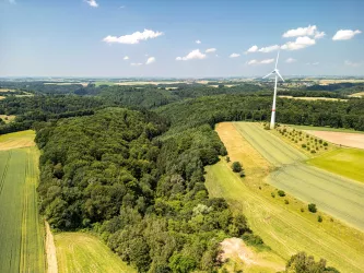 Bewaldetes Tal auf der Sickinger Höhe mit Windrad