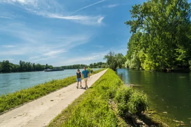 Wanderer zwischen Rhein und Altrhein auf dem Treidlerweg