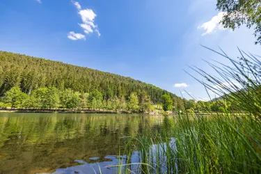 Der Badsee Clausensee in Waldfischbach-Burgalben im Pfälzerwald gelegen mit strahlendblauem Himmel.