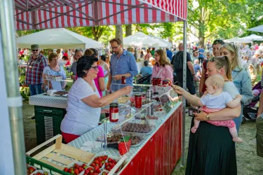 Eine Person kauft auf dem Erdbeermarkt in Herxheim bei Landau Erdbeeren von einem Erdbeerstand.