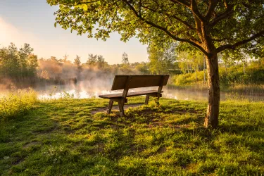 Eine Bank steht an einem See. Nebel steigt auf und die Morgensonne spiegelt sich im See.