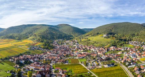  Herbstliches Weinland in St. Martin 