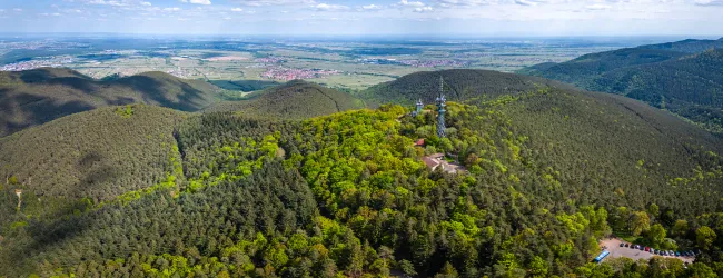 Luftaufnahme des Kalmit, dem höchste Berg des Biosphärenreservats Pfälzerwald.