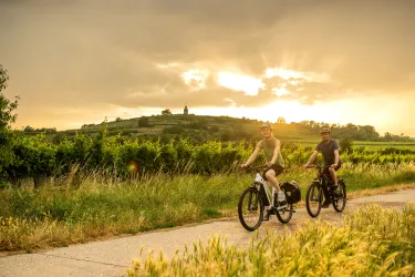 Zwei Personen fahren Rad in den Weinbergen.