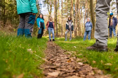Eine Gruppe steht im Wald und ein Guide erklärt die Praxis des Waldbadens.