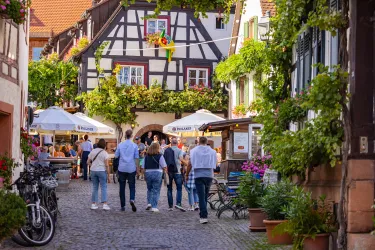 Besuchende auf der Winzergasse Gleiszellen.