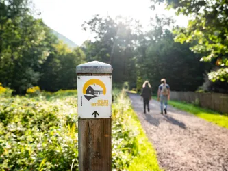 Zwei Personen spazieren an einem Sommer entlang eines Waldpfades, vorbei an einer Wegemarkierung des Pfälzer Hüttensteigs beim Helmbachweiher.