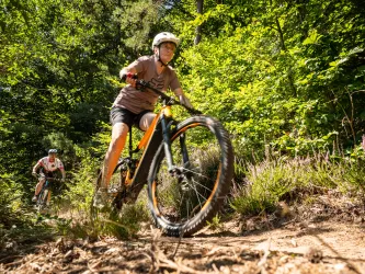 Zwei Personen fahren mit dem Mountainbike entlang eines Pfades im Mountainbikepark Pfälzerwald.