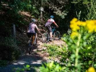 Zwei Personen fahren mit ihrem Mountainbike durch den Pfälzerwald.