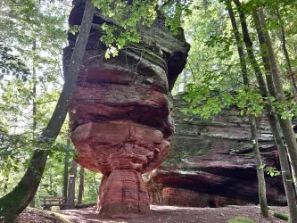 Sandsteinfelsen entlang des Prämienwanderweges Felsenwald 