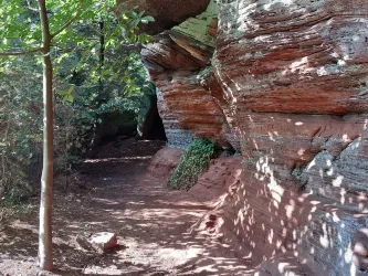 Sandsteinfelsen entlang des Prämienwanderweges Felsenwald 