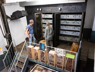 Zwei Personen sehen sich die Ausstellungsstücke im Museum Alte Samenklenge an während ein Gästeführer sie durch das Museum begleitet.