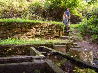 Zwei Personen laufen die steinernen Stufen zum Straufelsbrunnen.
