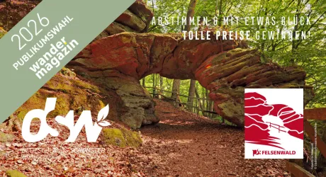 Ein Wanderweg der durch das Tor des Bundsandsteinfelsen Felsentor führt.