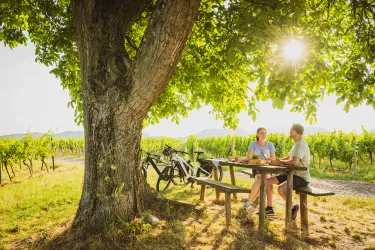 Pfälzer Picknick am Rastplatz im Weinberg