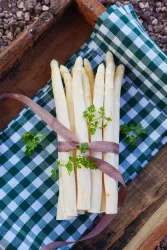 Pfälzer Spargel