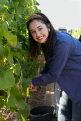 Pfälzische Weinkönigin Anna Antonia Cölsch bei der Weinlese