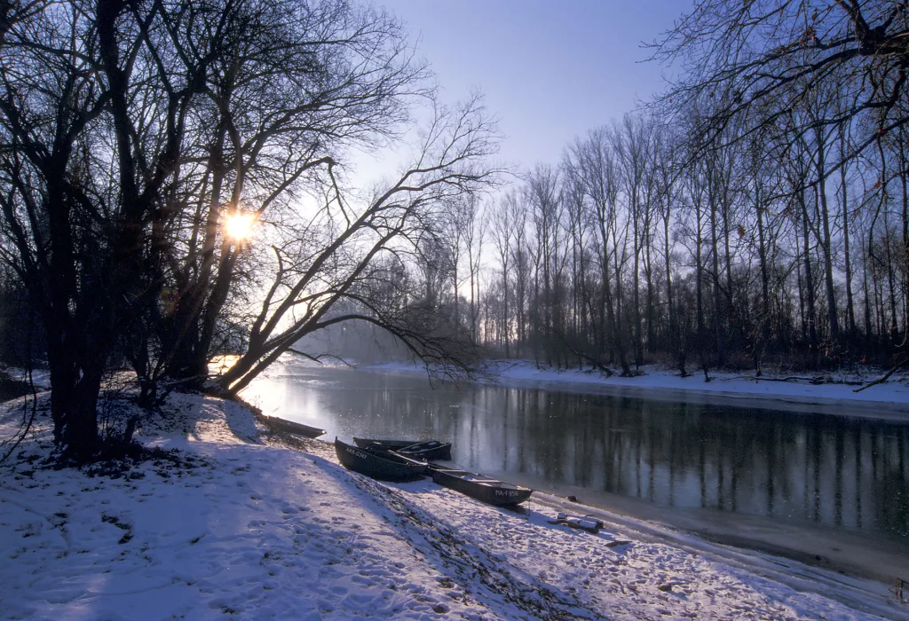 Altrhein im Winter mit Nachen