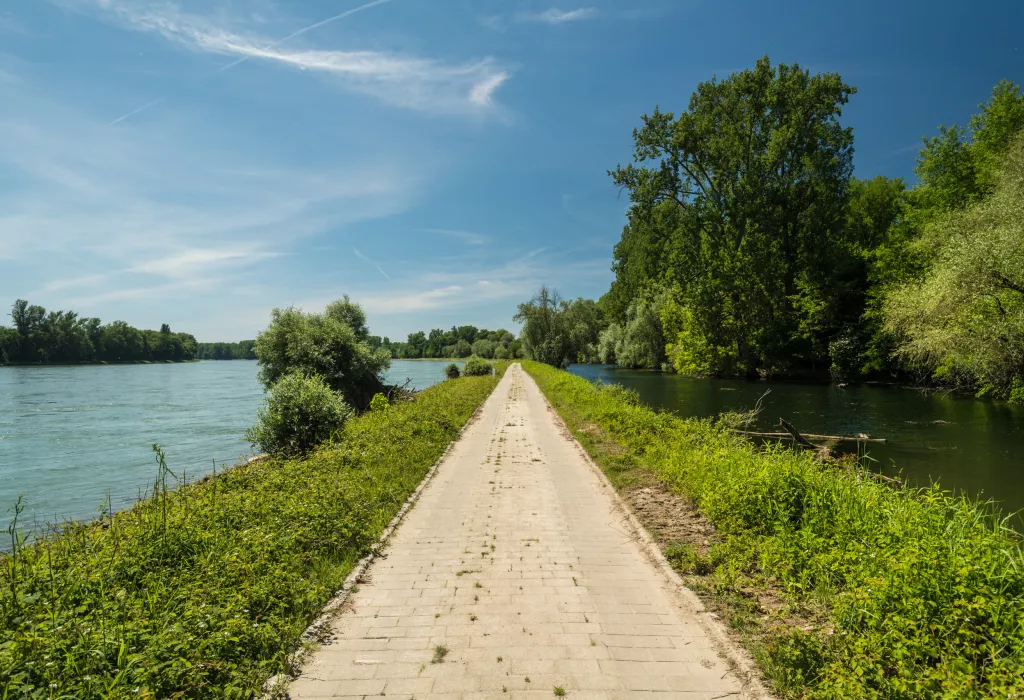 Auf dem Treidlerweg durch die Pfälzischen Rheinauen