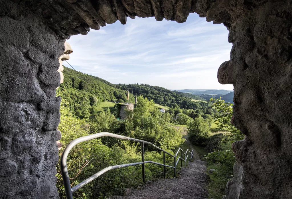 Blick ins Pfälzer Bergland von Burg Falkenstein