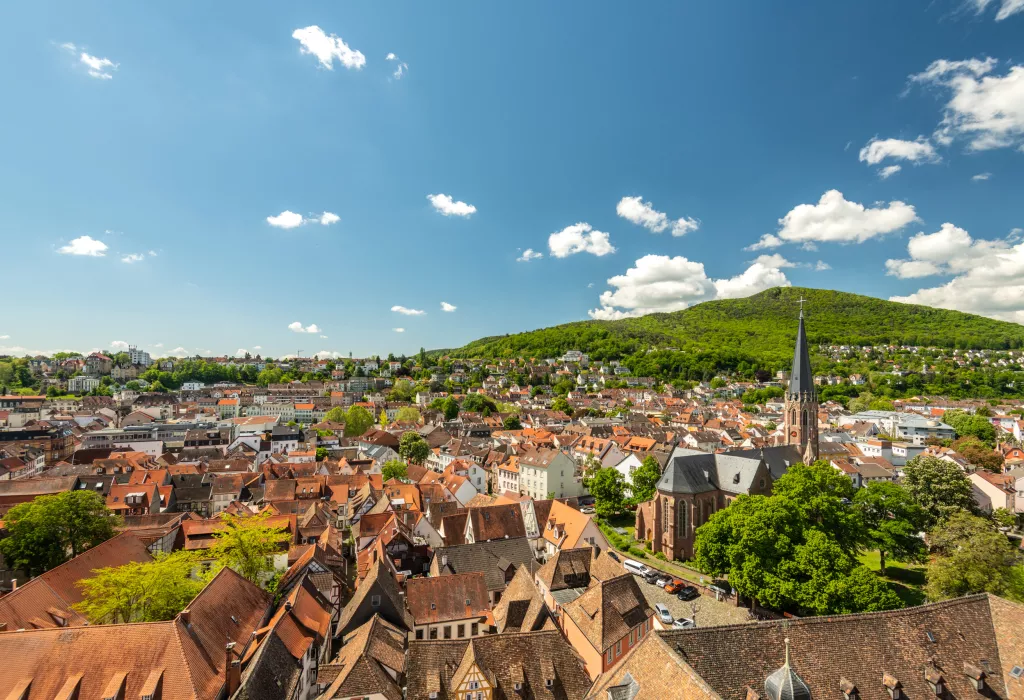 Über den Dächern von Neustadt an der Weinstraße