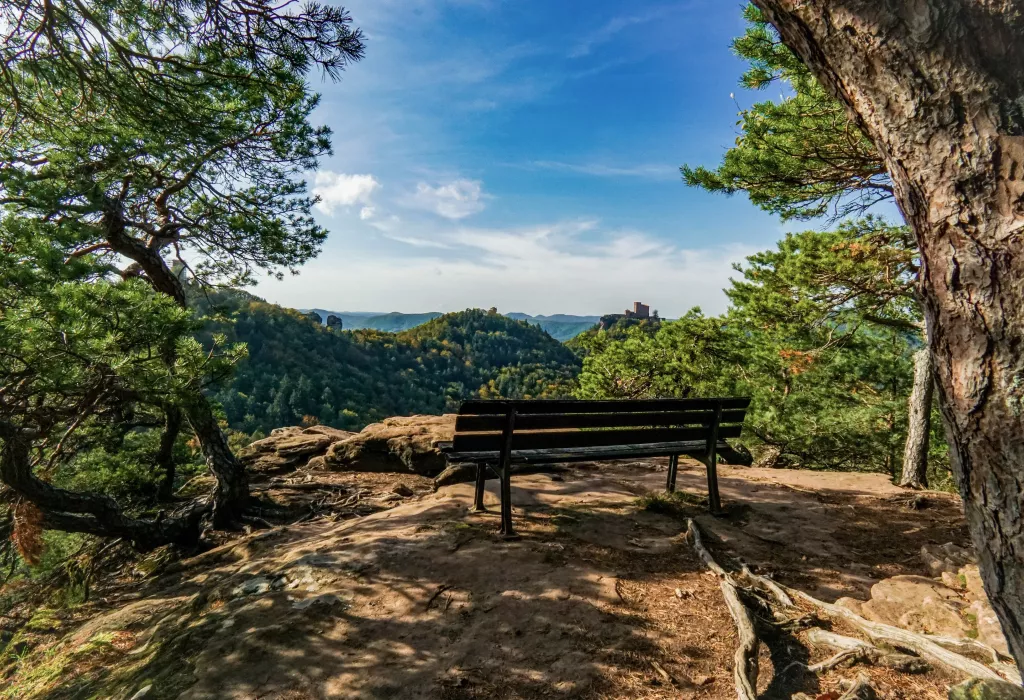 Blick vom Slevogtfelsen auf das Trifelsland