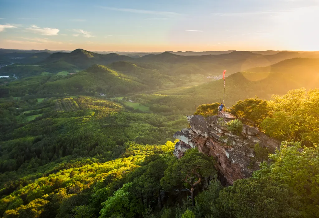 Aussicht am Orensfels über den Pfälzerwald