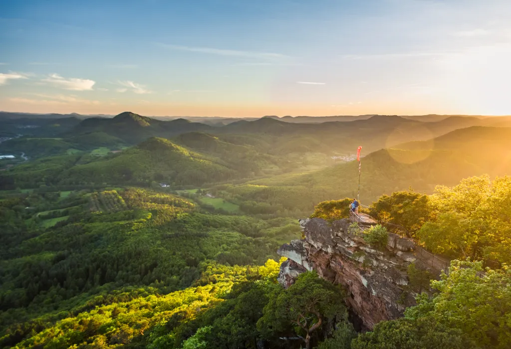 Aussicht am Orensfels über den Pfälzerwald