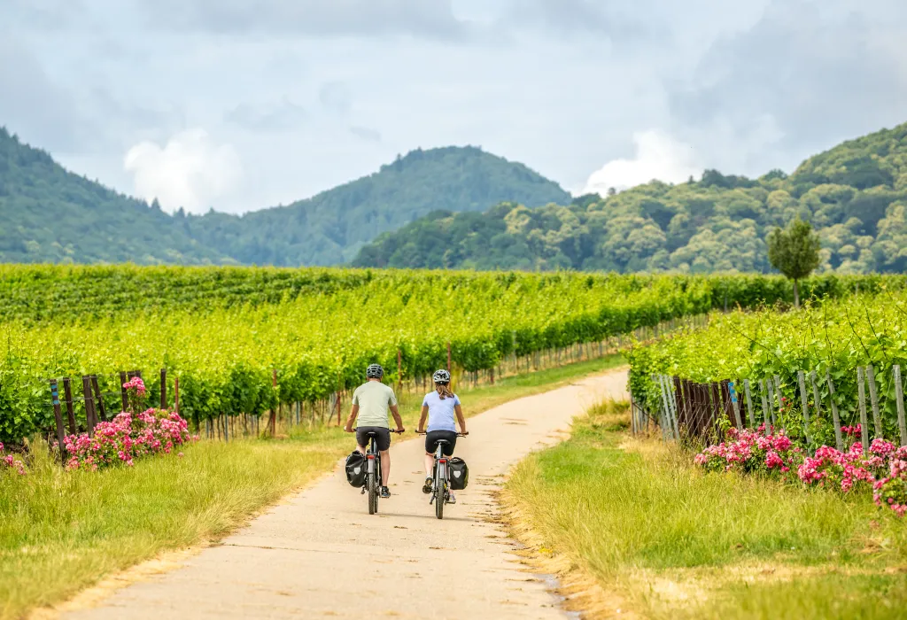 Zwei Personen fahren mit dem Rad auf der Weinlagen-Tour 