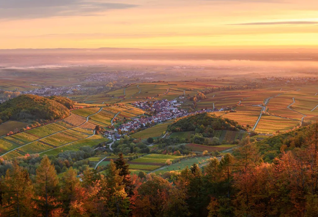Ausblick auf die Weinberge und - dörfer an einem nebligen Herbsttag.