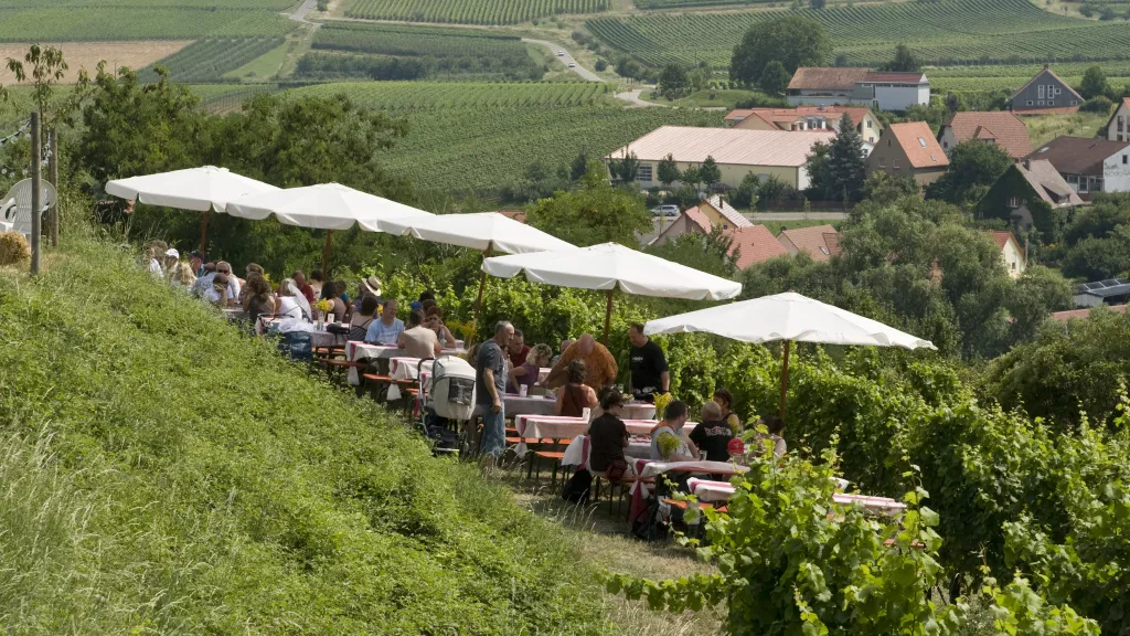 Schönstes Weinfest 2004: Ilbesheim Kalmitweinfest