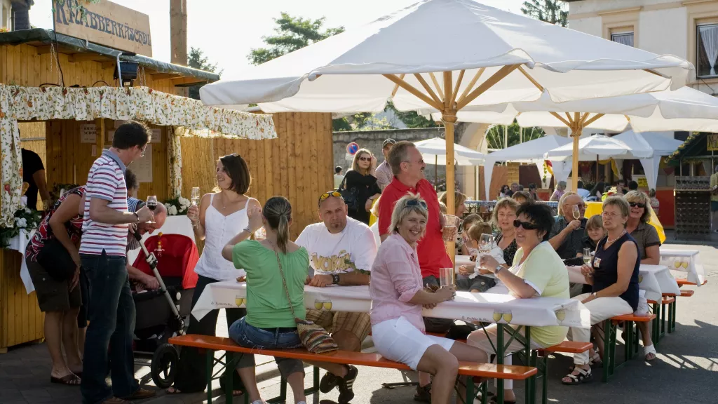 Schönstes Weinfest 1998: Niederkirchen Fest um den Wein