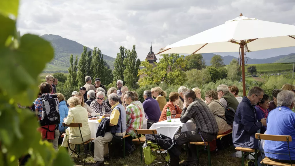 Schönstes Weinfest 2014: Siebeldingen Kulinarische Weinbergswanderung