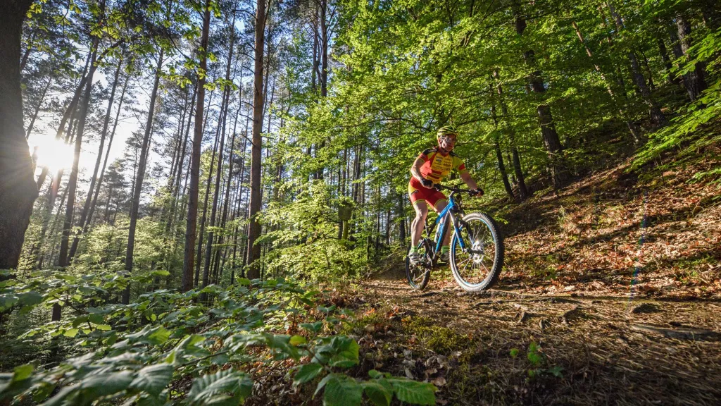 Mountainbiketouren im Mountainbikepark Pfälzerwald