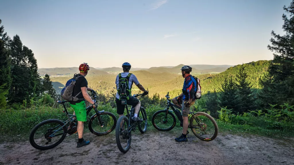 Mountainbikepark Pfälzerwald