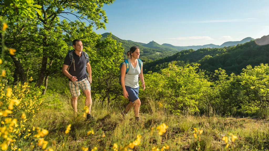 Wanderer auf der Pfälzer Hüttentour